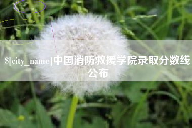 张家界中国消防救援学院录取分数线公布