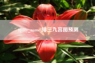 张家界排三九宫图预测