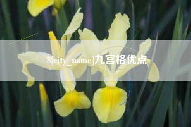 张家界九宫格优点