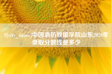 张家界中国消防救援学院山东2020年录取分数线是多少