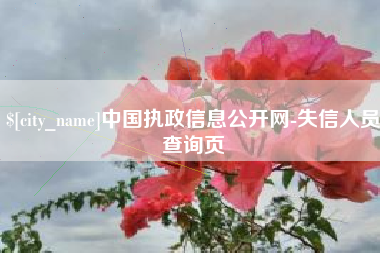 张家界中国执政信息公开网-失信人员查询页