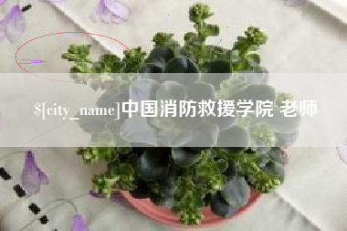 张家界中国消防救援学院 老师