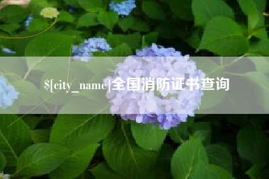 张家界全国消防证书查询