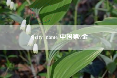 张家界中国第9金