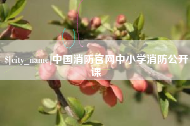 张家界中国消防官网中小学消防公开课
