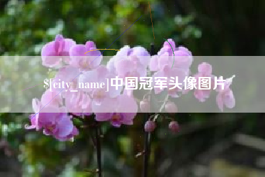 张家界中国冠军头像图片