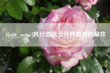 张家界执行信息公开网查到的案件