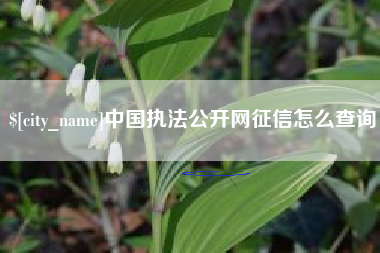 张家界中国执法公开网征信怎么查询