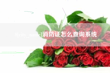 张家界消防证怎么查询系统