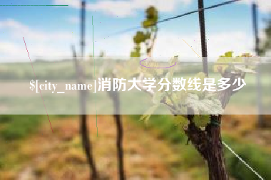 张家界消防大学分数线是多少
