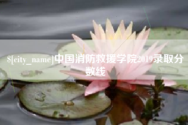 张家界中国消防救援学院2019录取分数线