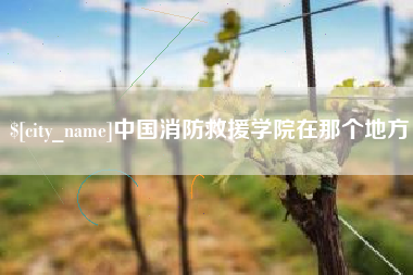 张家界中国消防救援学院在那个地方
