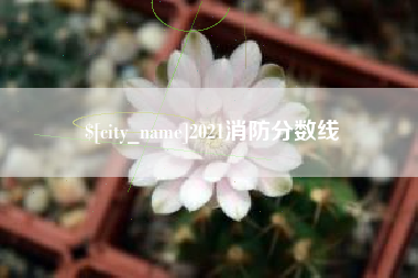 张家界2021消防分数线