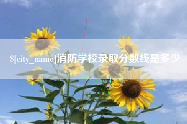 张家界消防学校录取分数线是多少