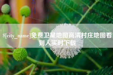 张家界免费卫星地图高清村庄地图看到人实时下载