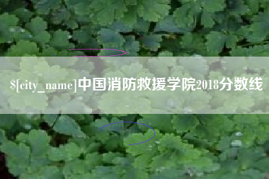 张家界中国消防救援学院2018分数线