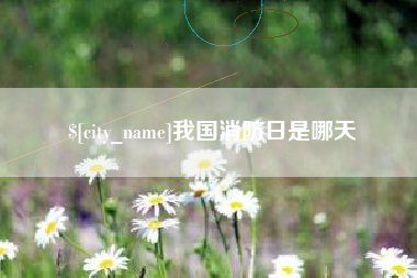 张家界我国消防日是哪天