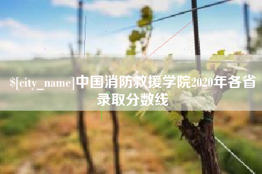 张家界中国消防救援学院2020年各省录取分数线