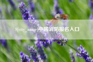 张家界中国消防报名入口