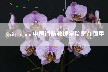 张家界中国消防救援学院是在哪里