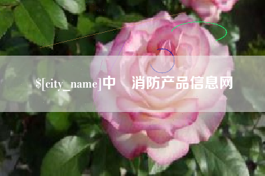 张家界中囯消防产品信息网