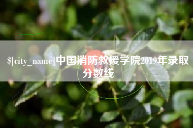 张家界中国消防救援学院2019年录取分数线