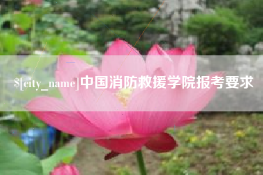张家界中国消防救援学院报考要求