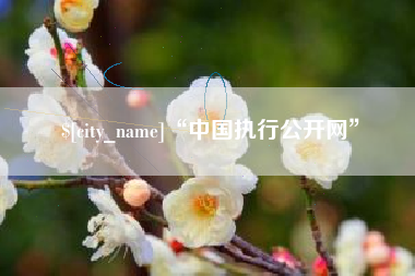 张家界“中国执行公开网”