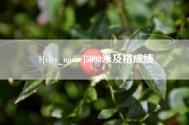 张家界5000米及格成绩