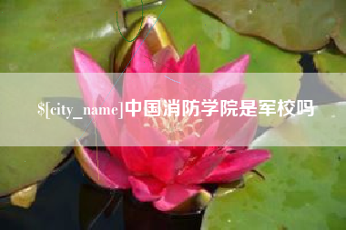 张家界中国消防学院是军校吗