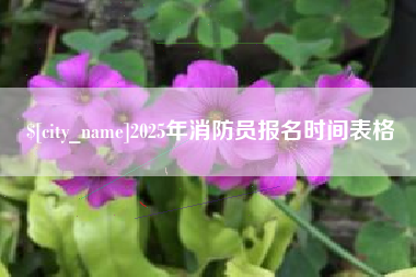 张家界2025年消防员报名时间表格