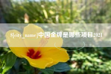 张家界中国金牌是哪些项目2021
