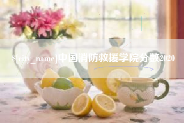 张家界中国消防救援学院分数2020