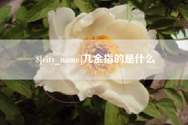 张家界九金指的是什么