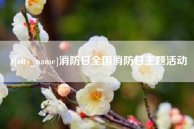 张家界消防日全国消防日主题活动