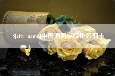 张家界中国消防学院排名前十