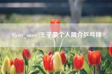 张家界王子豪个人简介乒乓球