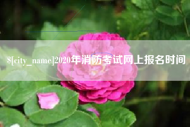 张家界2020年消防考试网上报名时间
