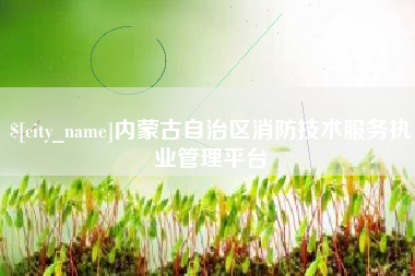 张家界内蒙古自治区消防技术服务执业管理平台