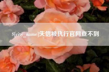 张家界失信被执行官网查不到