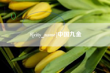 张家界中国九金