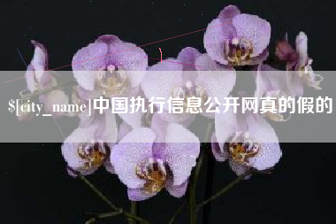 张家界中国执行信息公开网真的假的