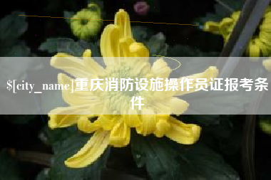 张家界重庆消防设施操作员证报考条件