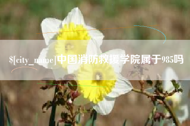 张家界中国消防救援学院属于985吗