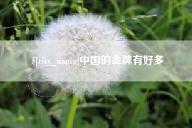 张家界中国的金牌有好多