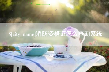 张家界消防资格证怎么查询系统