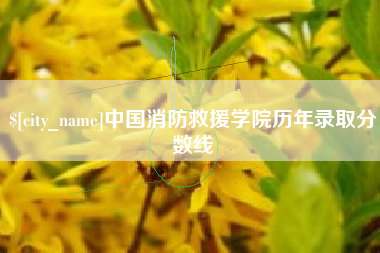 张家界中国消防救援学院历年录取分数线