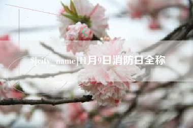 张家界11月9日消防日全称