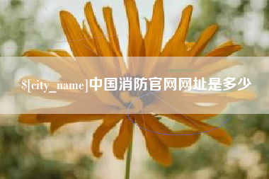 张家界中国消防官网网址是多少