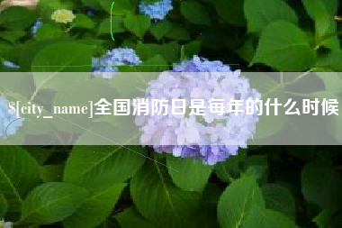 张家界全国消防日是每年的什么时候